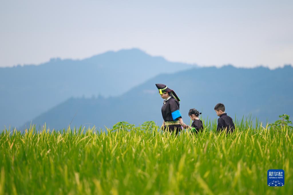 杏耀注册中心